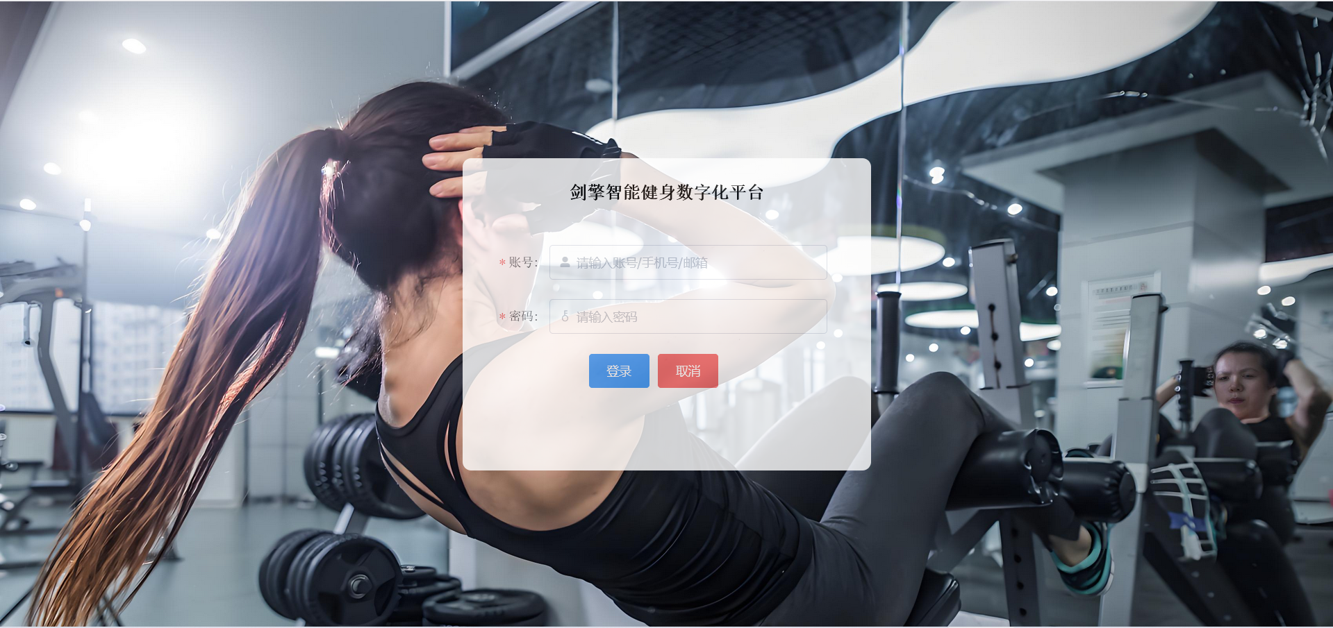 黑猫健身数字化平台